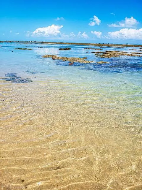 Porto de Galinhas