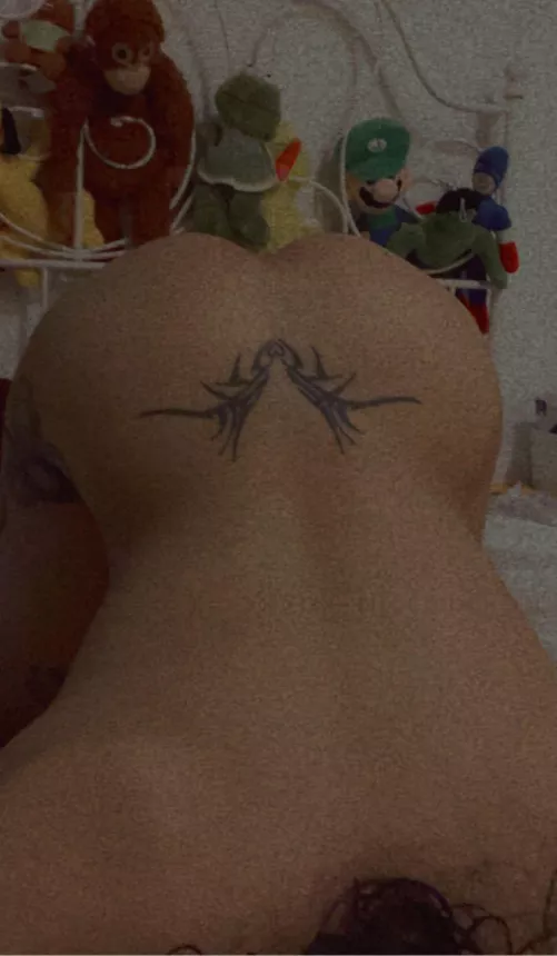 POV: im giving u head :3