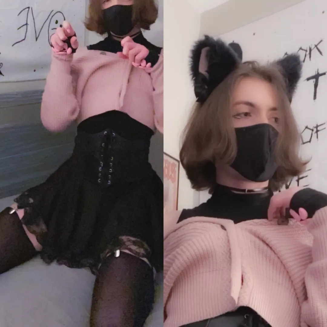 pov: ur government mandated catboy comes in the mail :3
