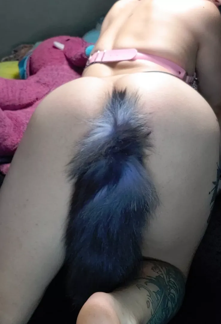 POV you getting ready to take me from behind