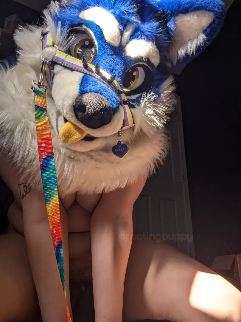 pov: you mentioned walkies