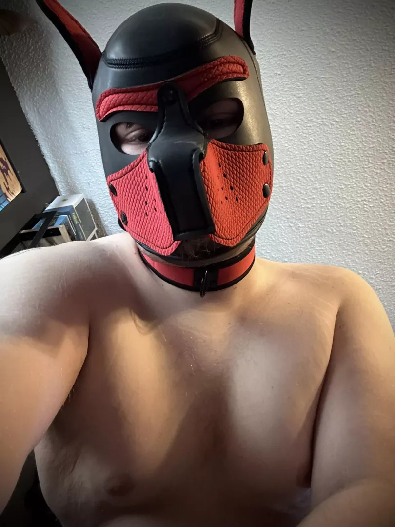 POV: You’ve been a VERY good boy and I think its time I pin you down and give you a treat~