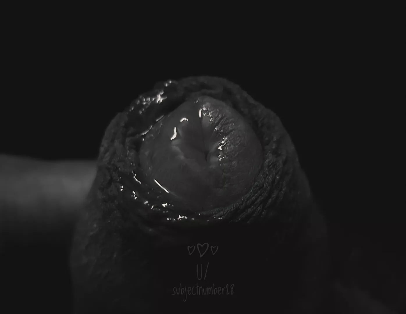 Preek