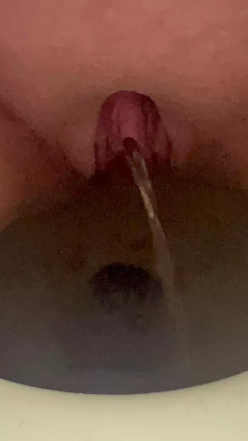 Pregnant pee