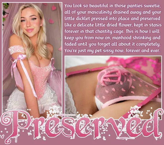 PRESERVED [chastity] [sissy] [permanent]