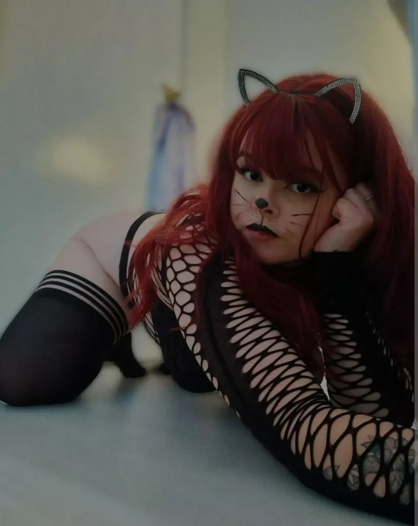 Pretty Kitty