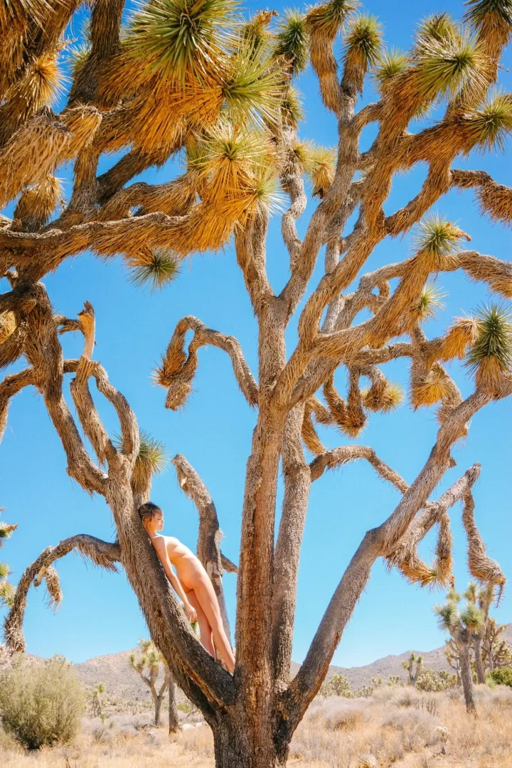 Pretty prickly
