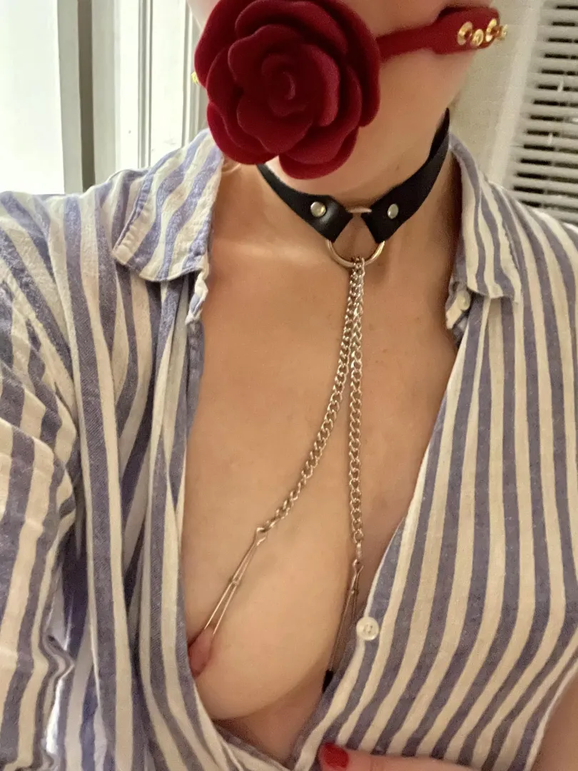 Pretty with a rose