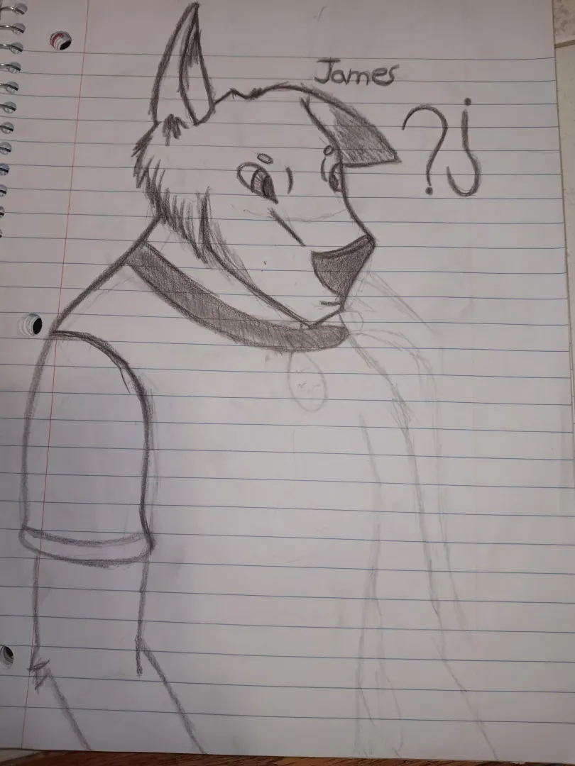 Progress over a year