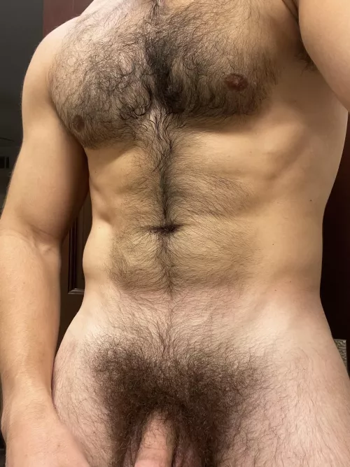 Pubes or Shave?