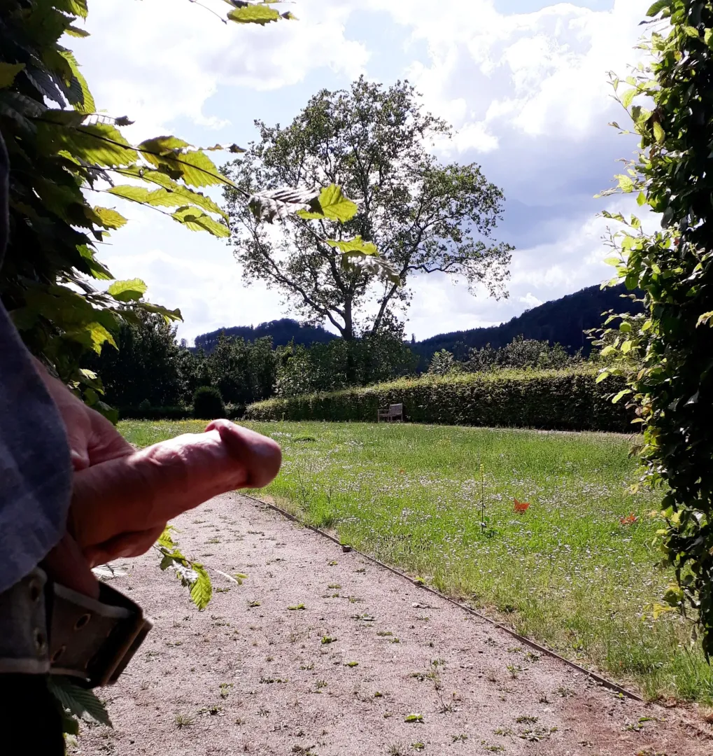 Public park boner