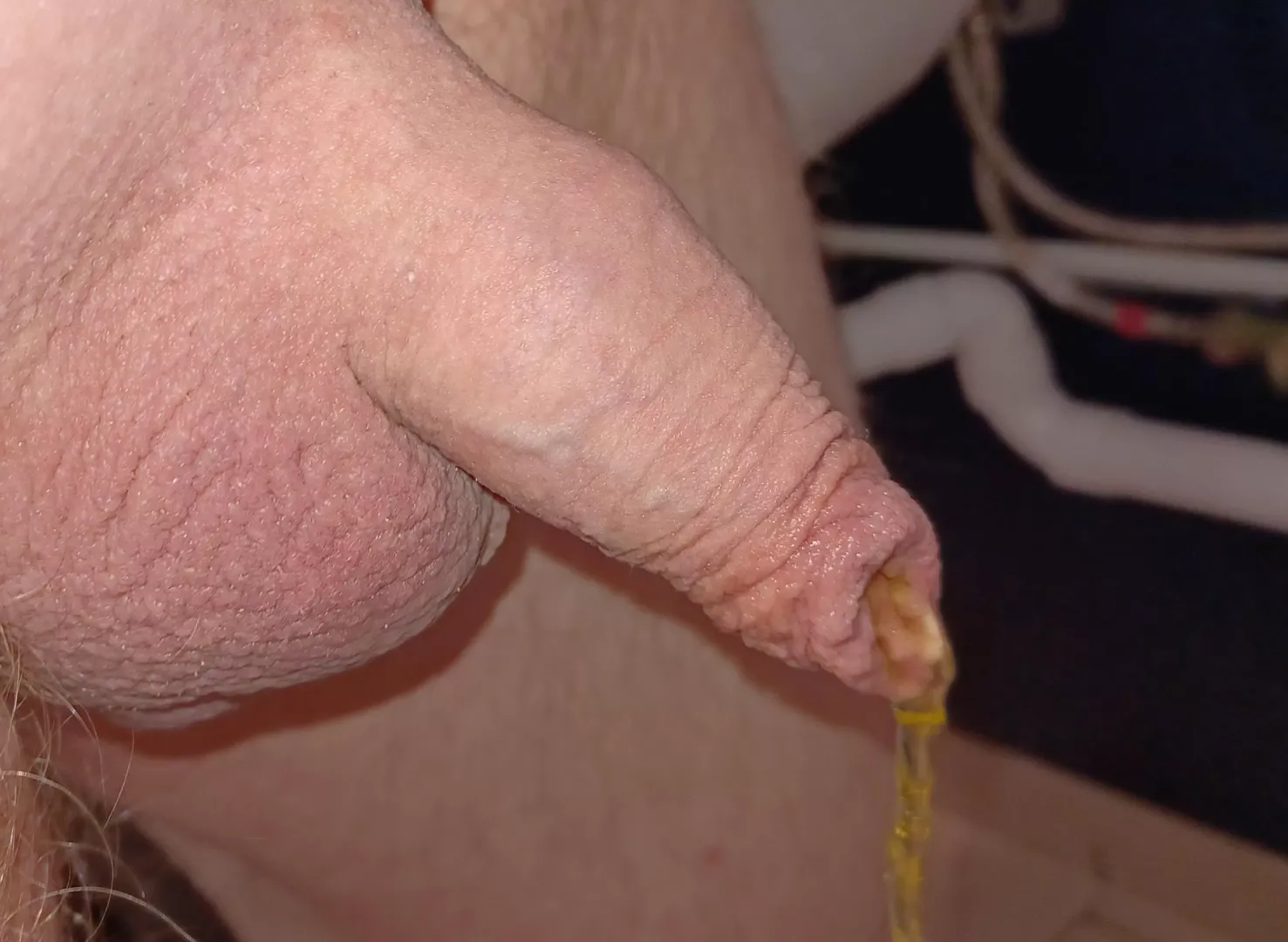 Public toilet piss