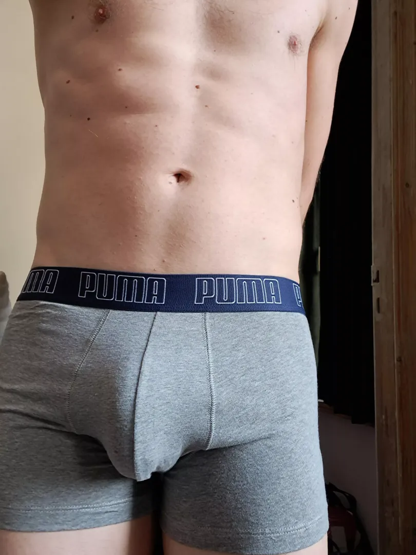 puma