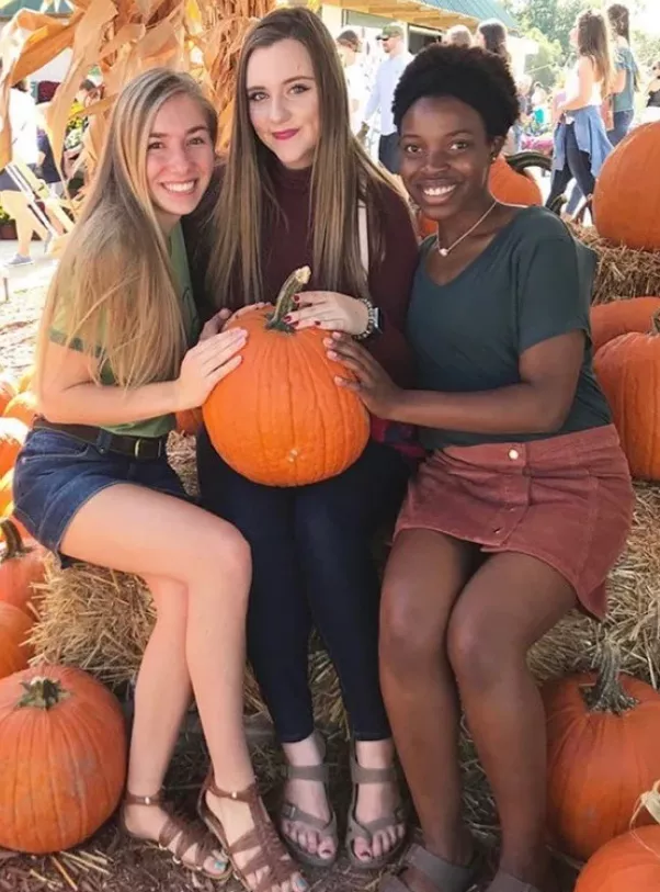 Pumpkin mania