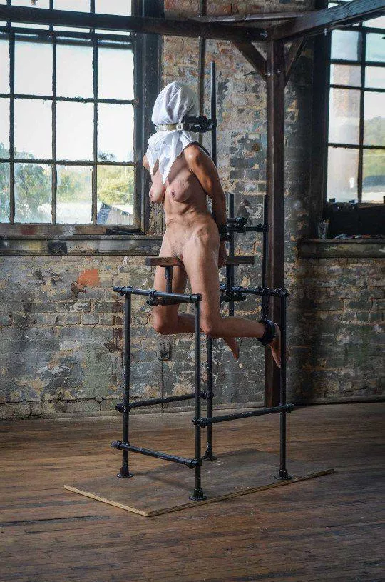 Punishment Perch