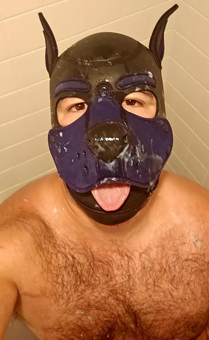 Pup hosted small bukkake