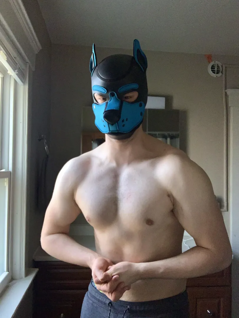 Pup Zuko is here!