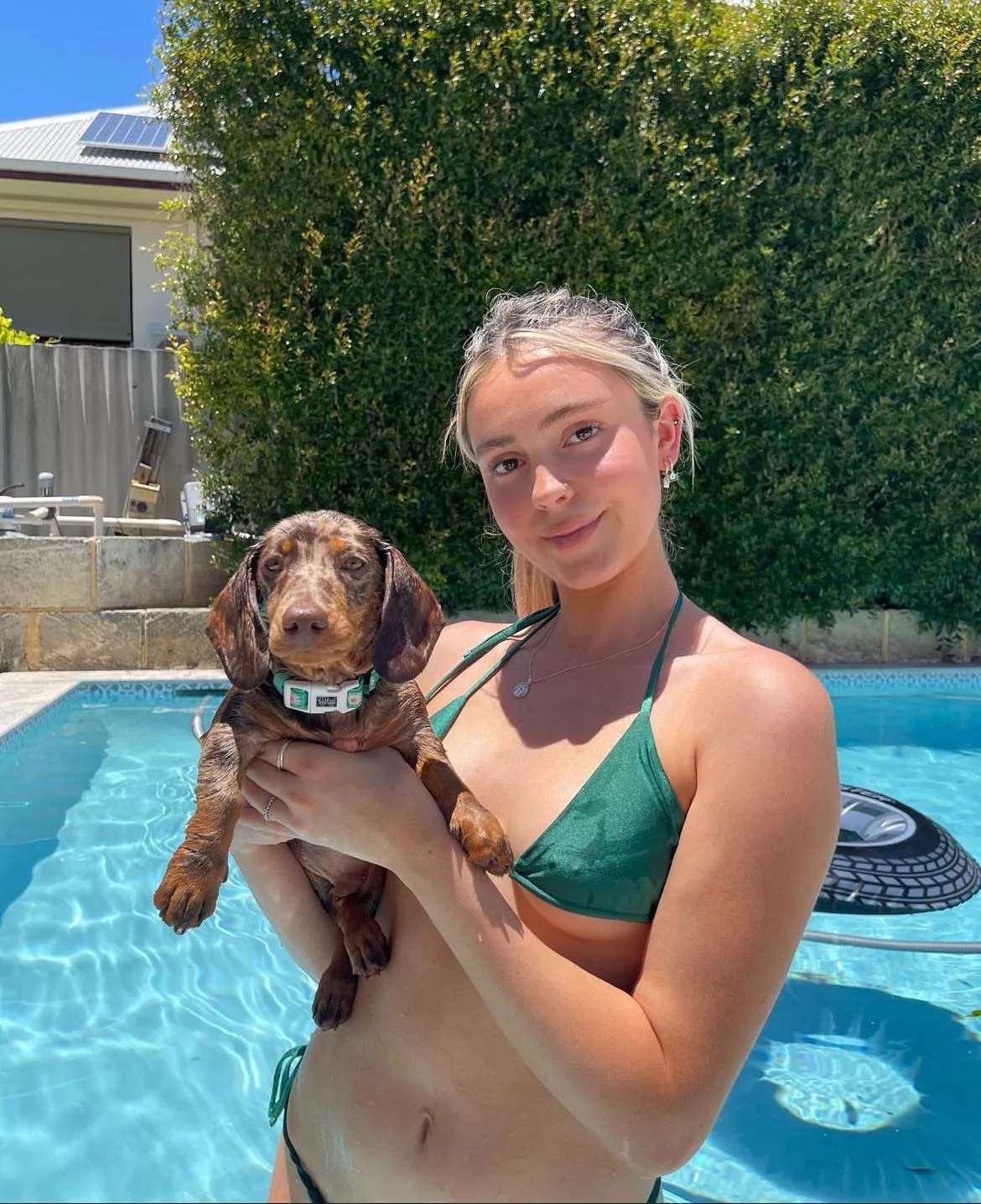 Puppy