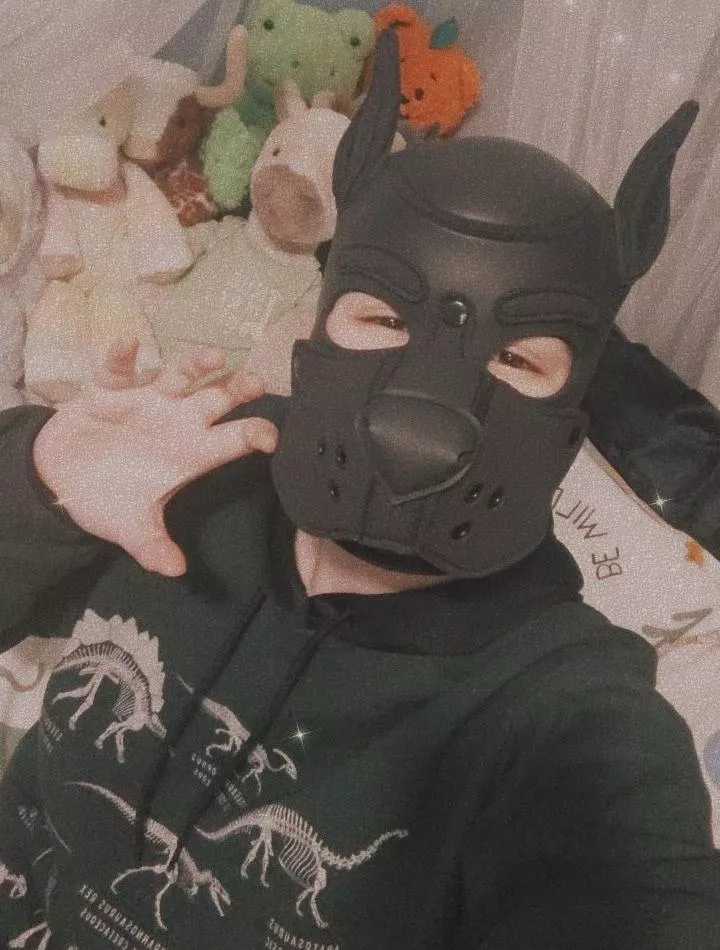 Puppy Brained 🦴