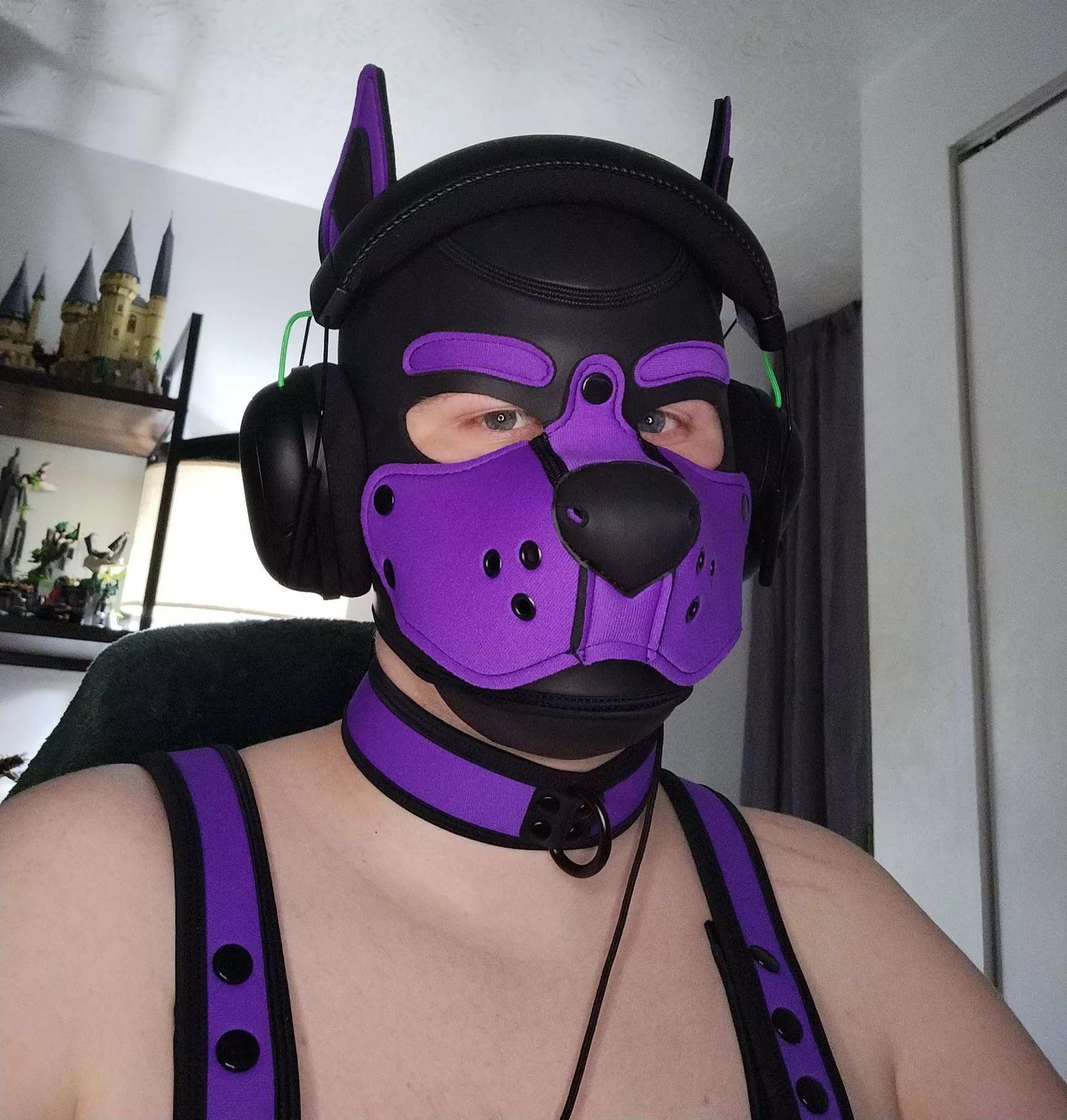 Puppy Gayming! 