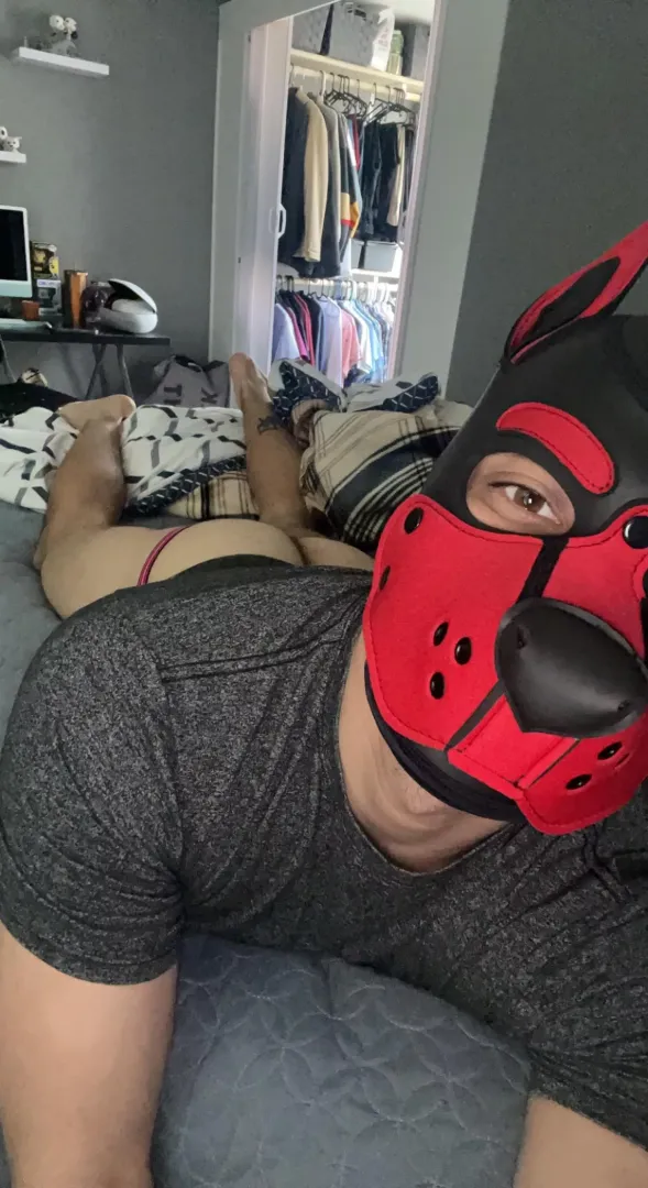Puppy wants butt rubs and cuddles