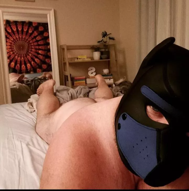 Pup's fuzzy 🍑 needs some attention 😝