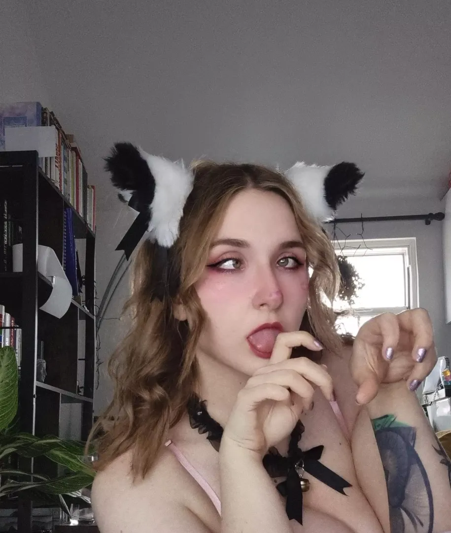 purrrrfect