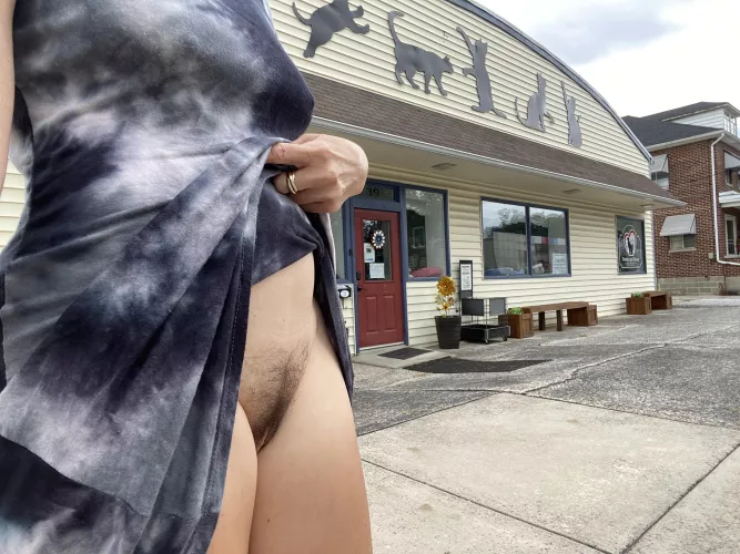 Pussy. Cats.
