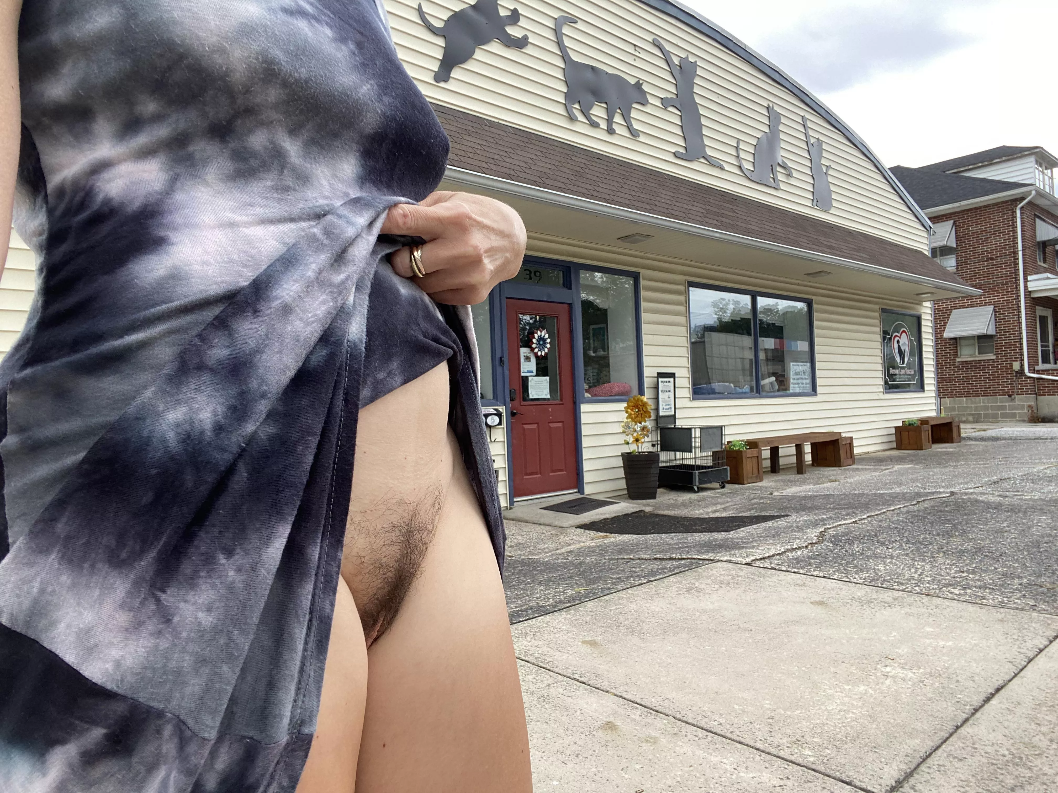 Pussy. Cats.