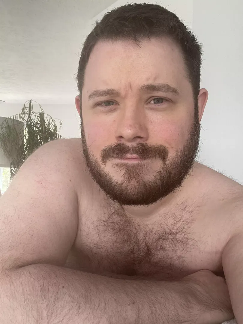 Quite Scruffy
