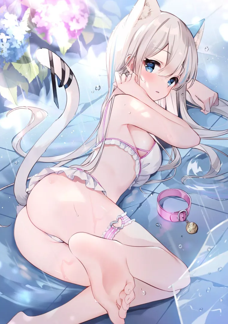 Rain and wet cat