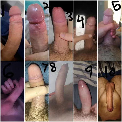 Rank these dicks! And hmu if you wanna be a part of the next collage