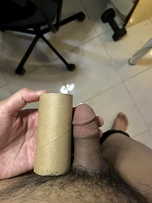 Rate my softies
