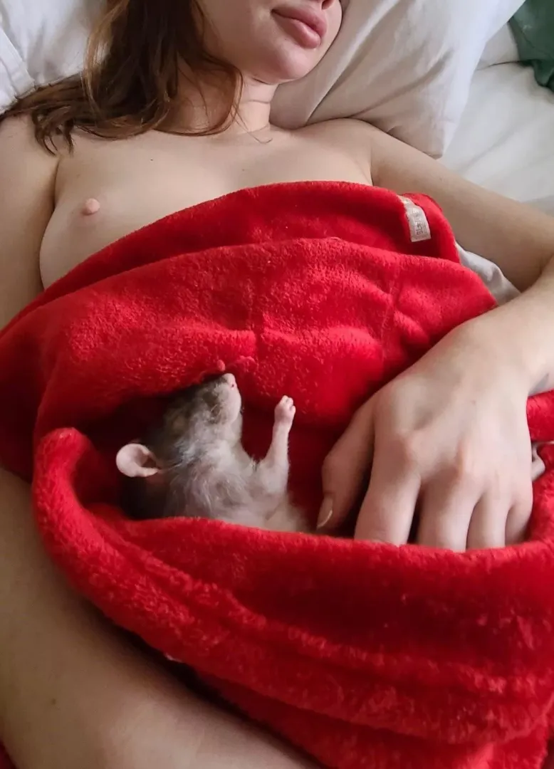 Rats