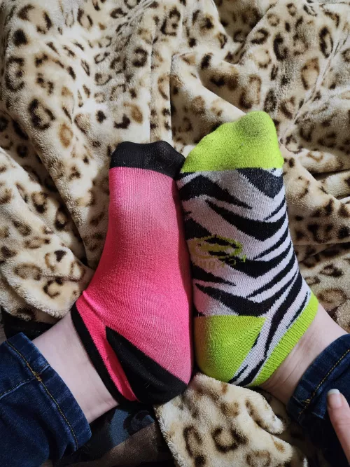 rawr!!!!
