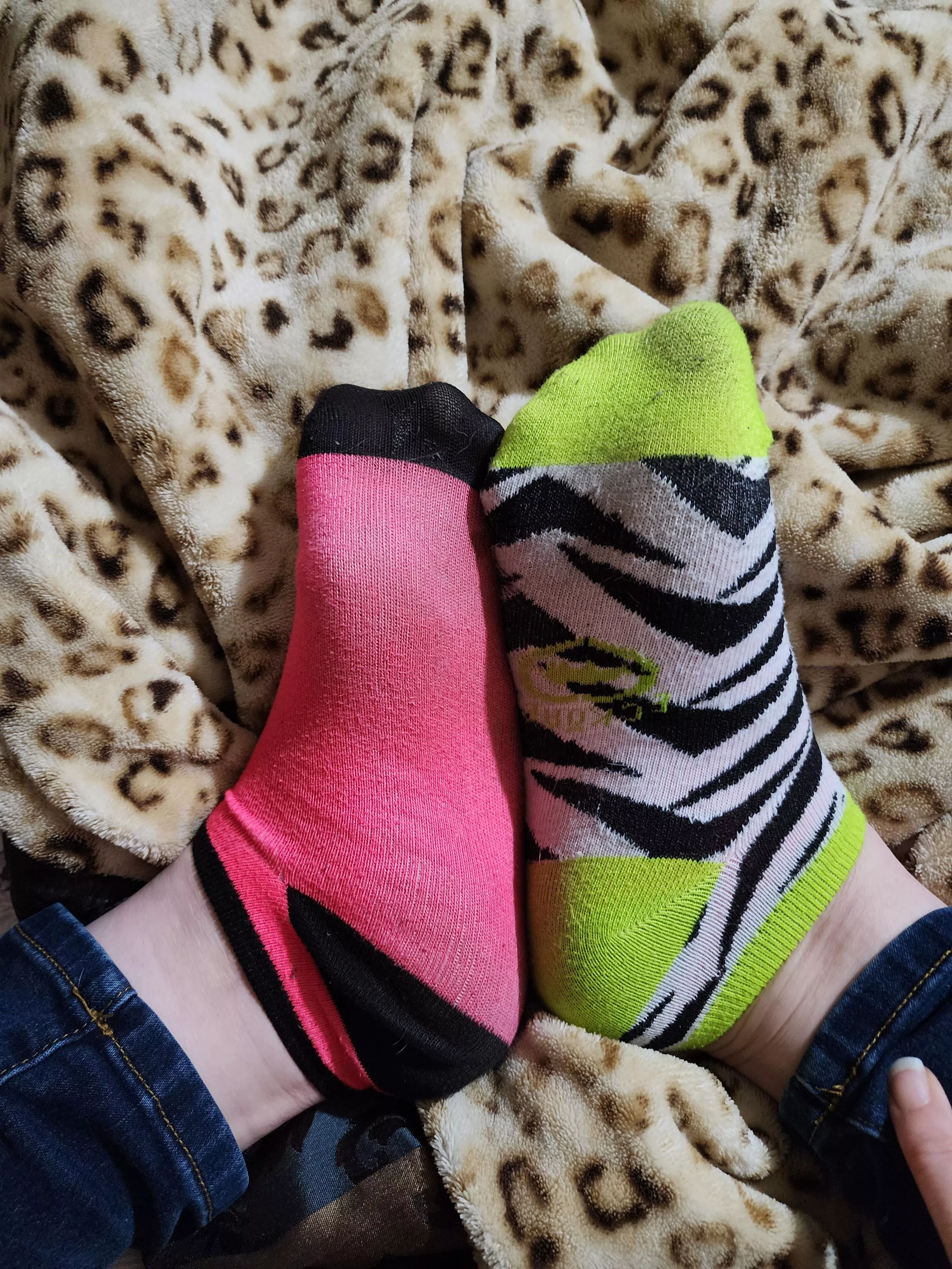 rawr!!!!