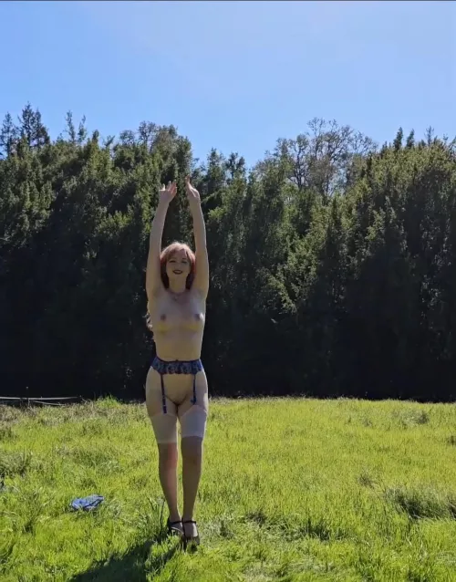Reach for the sun 
