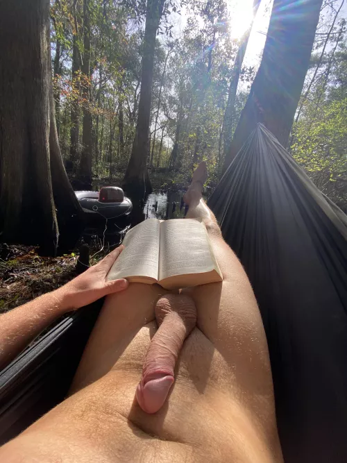 Reading Dumas to nature’s soundtrack