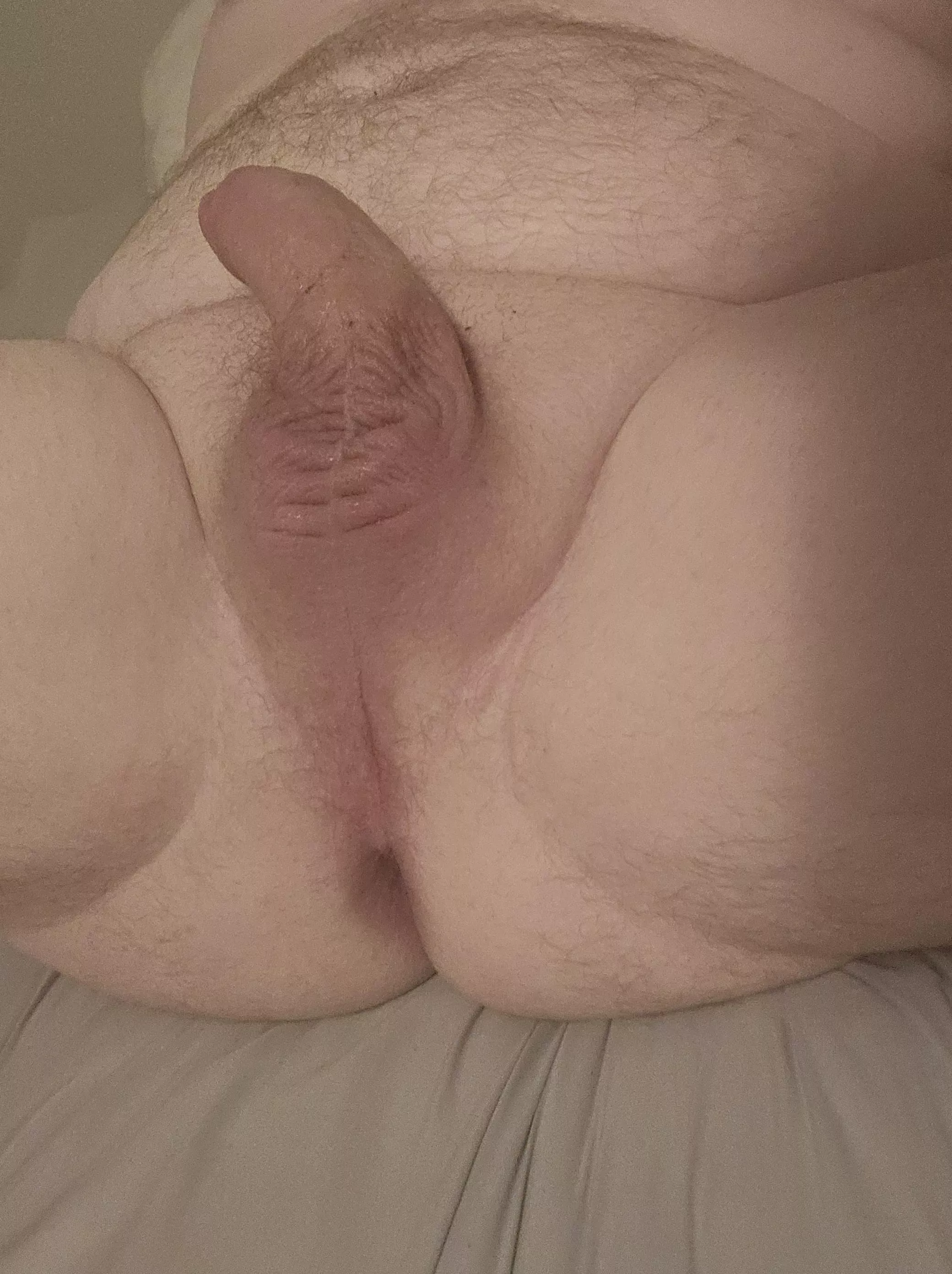 Ready