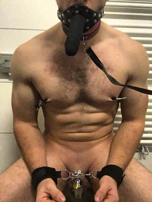 Ready to be used, M25