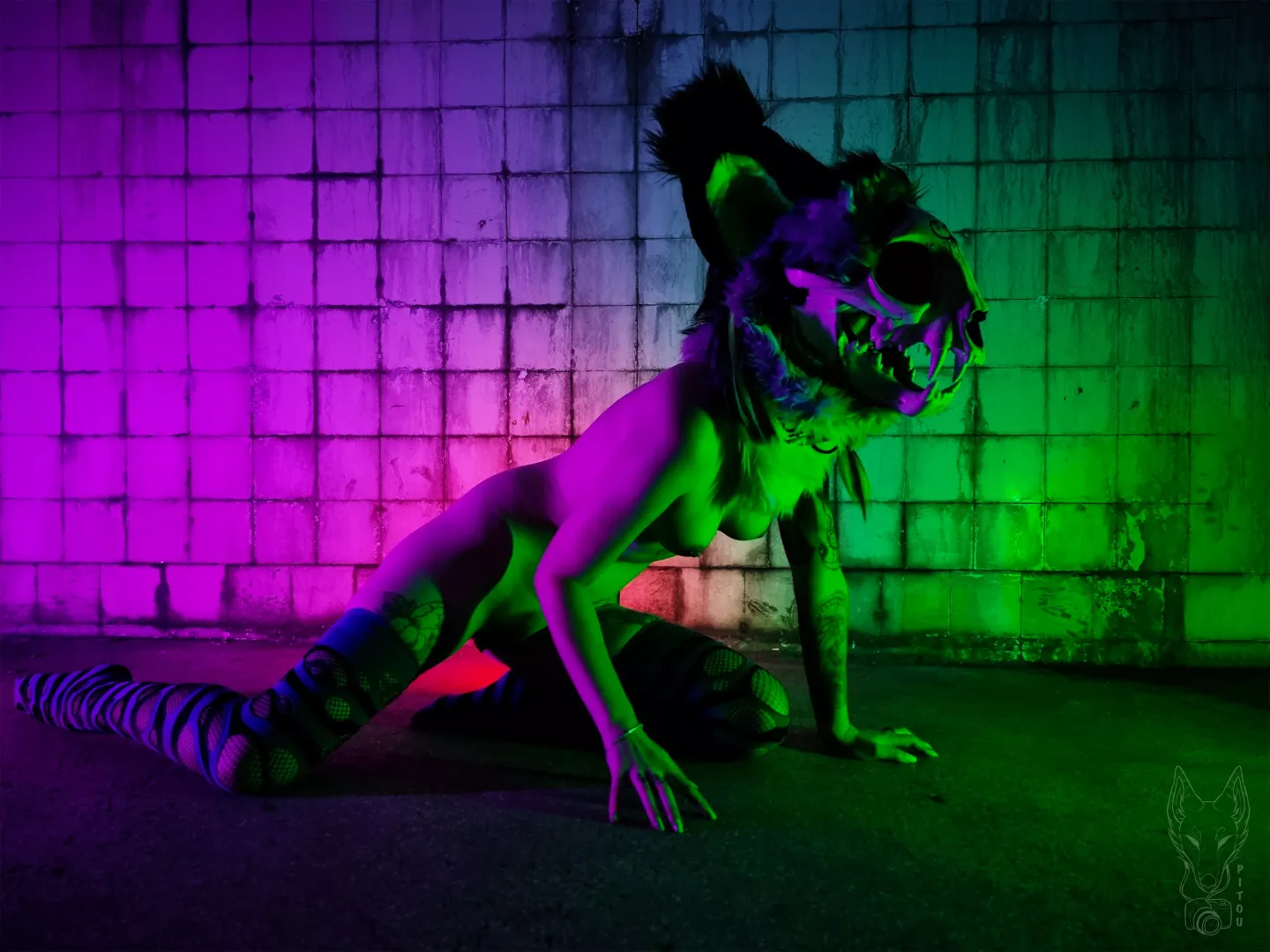 Ready to hunt you