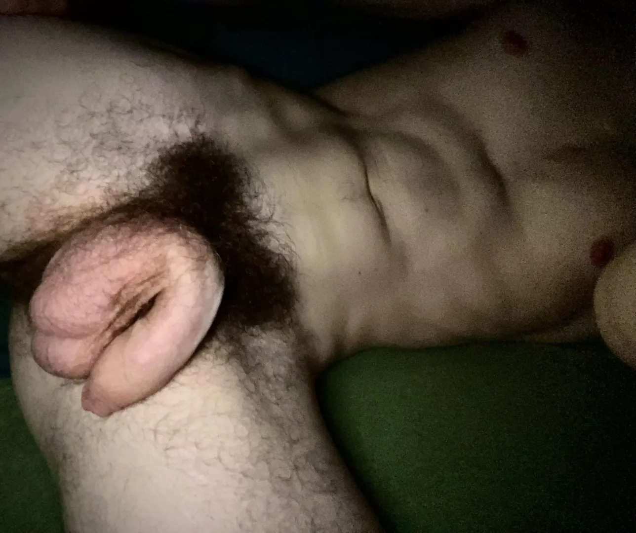 Really love my bush (26)