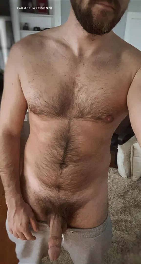 Really need a bro to hang out with me at the home office [32]