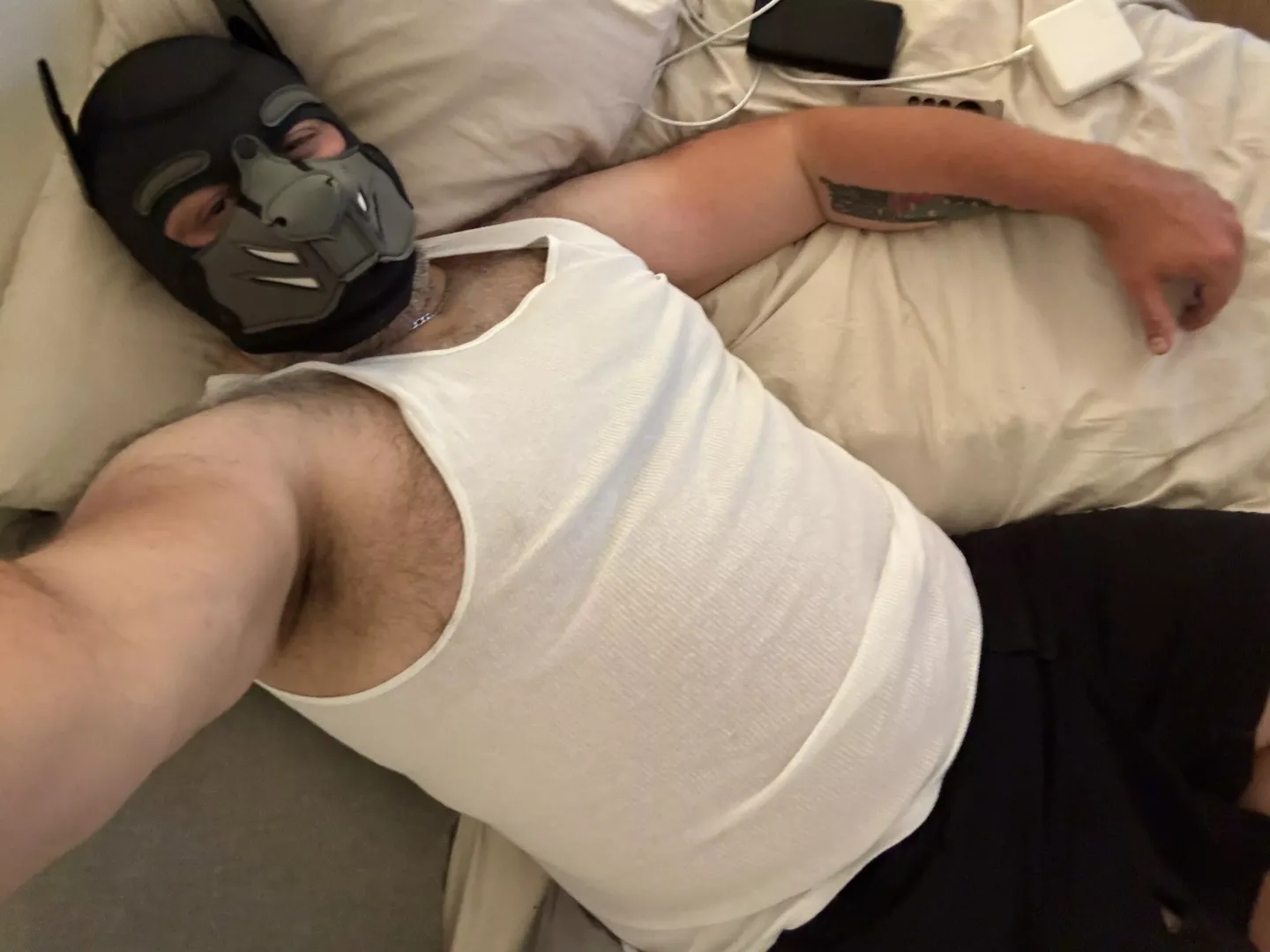 Relaxing Pup
