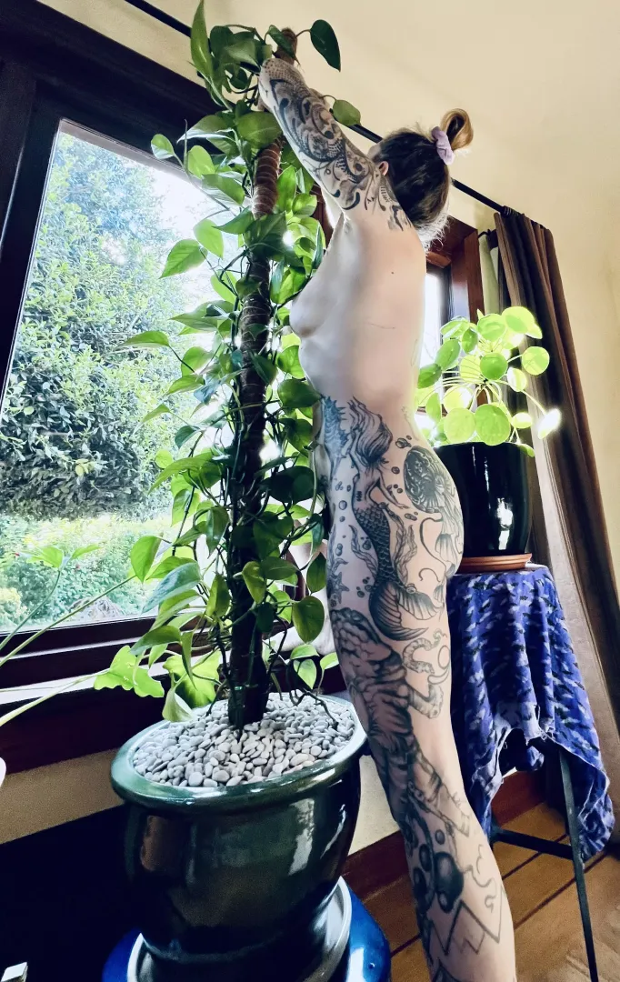 Repotted my wildest plant and fixing her up 
