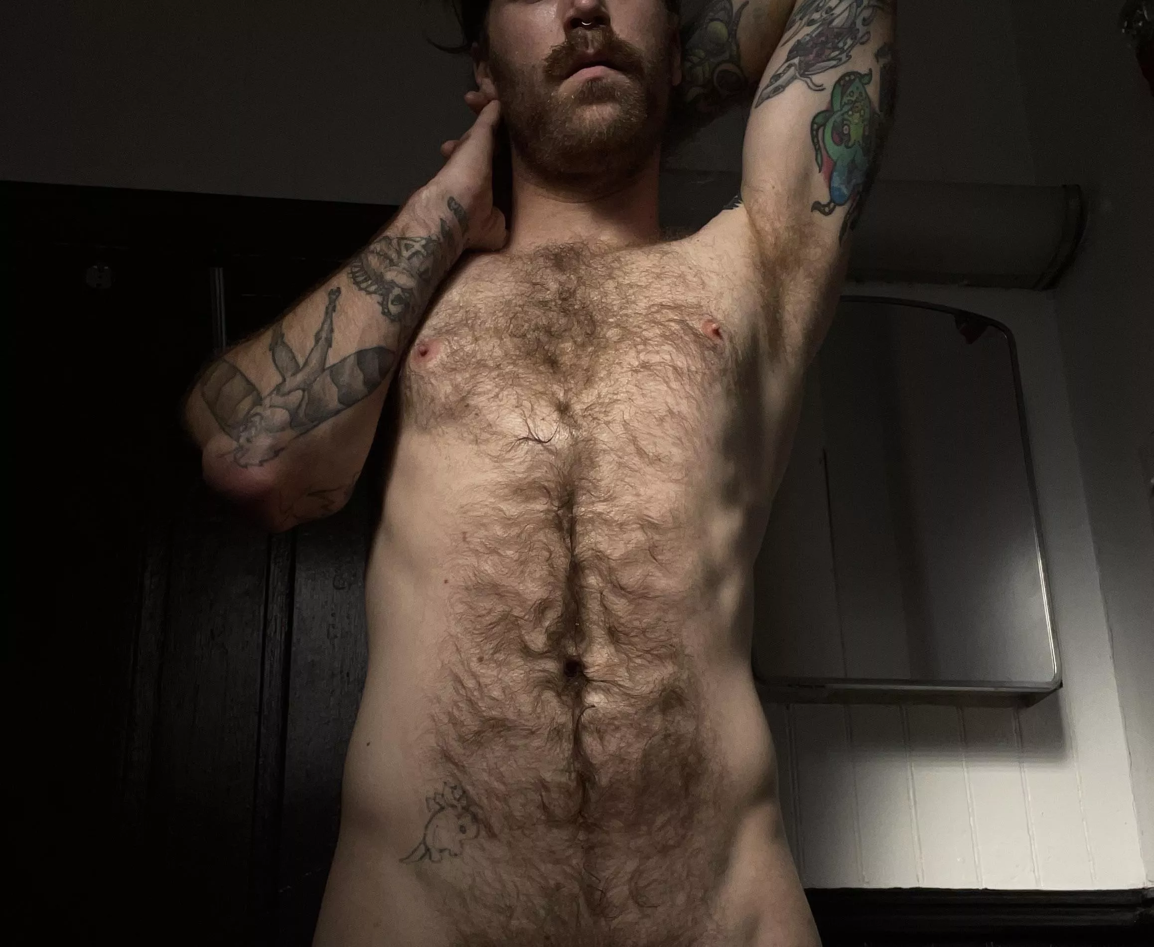 Re-upped because mentions of democracy got it auto removed. Happy erection day y’all.