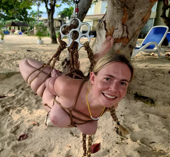Rigged to a tree
