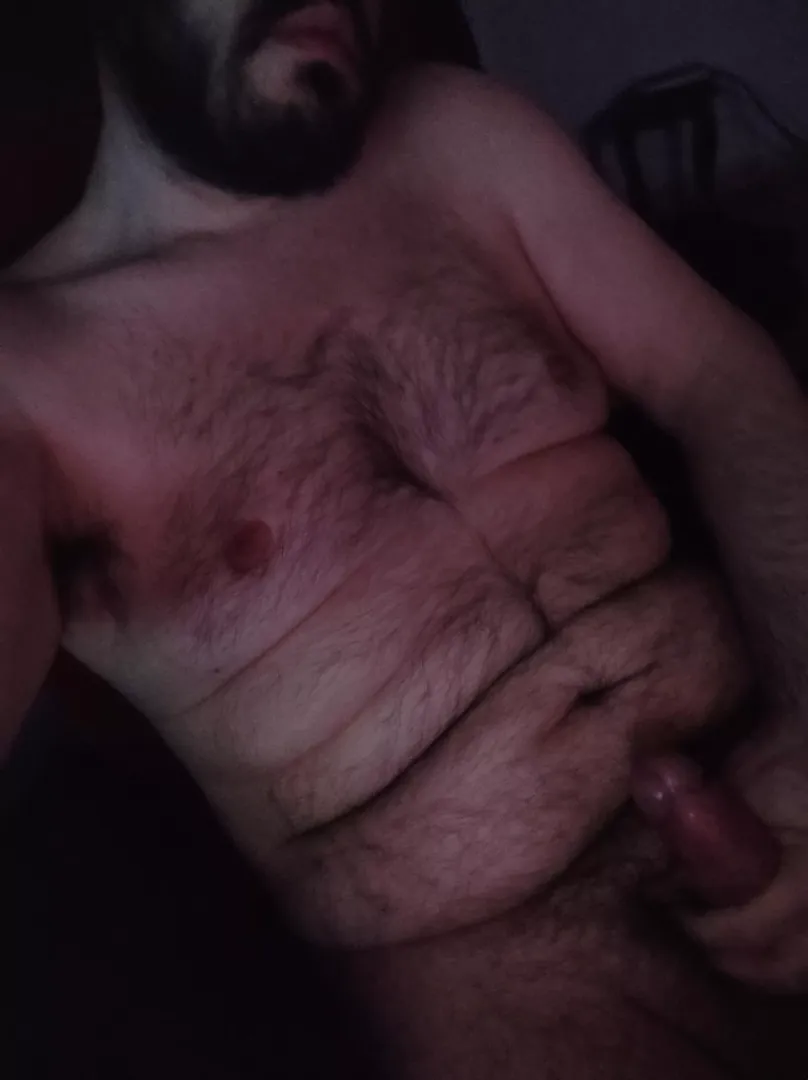 Roar if you can tame this bear