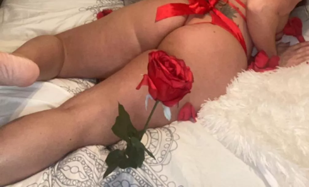 Roses are red