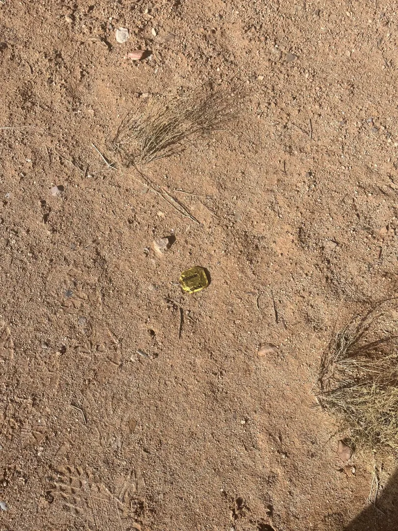 Saw this while I was hiking. Possible cruising going on?🤭